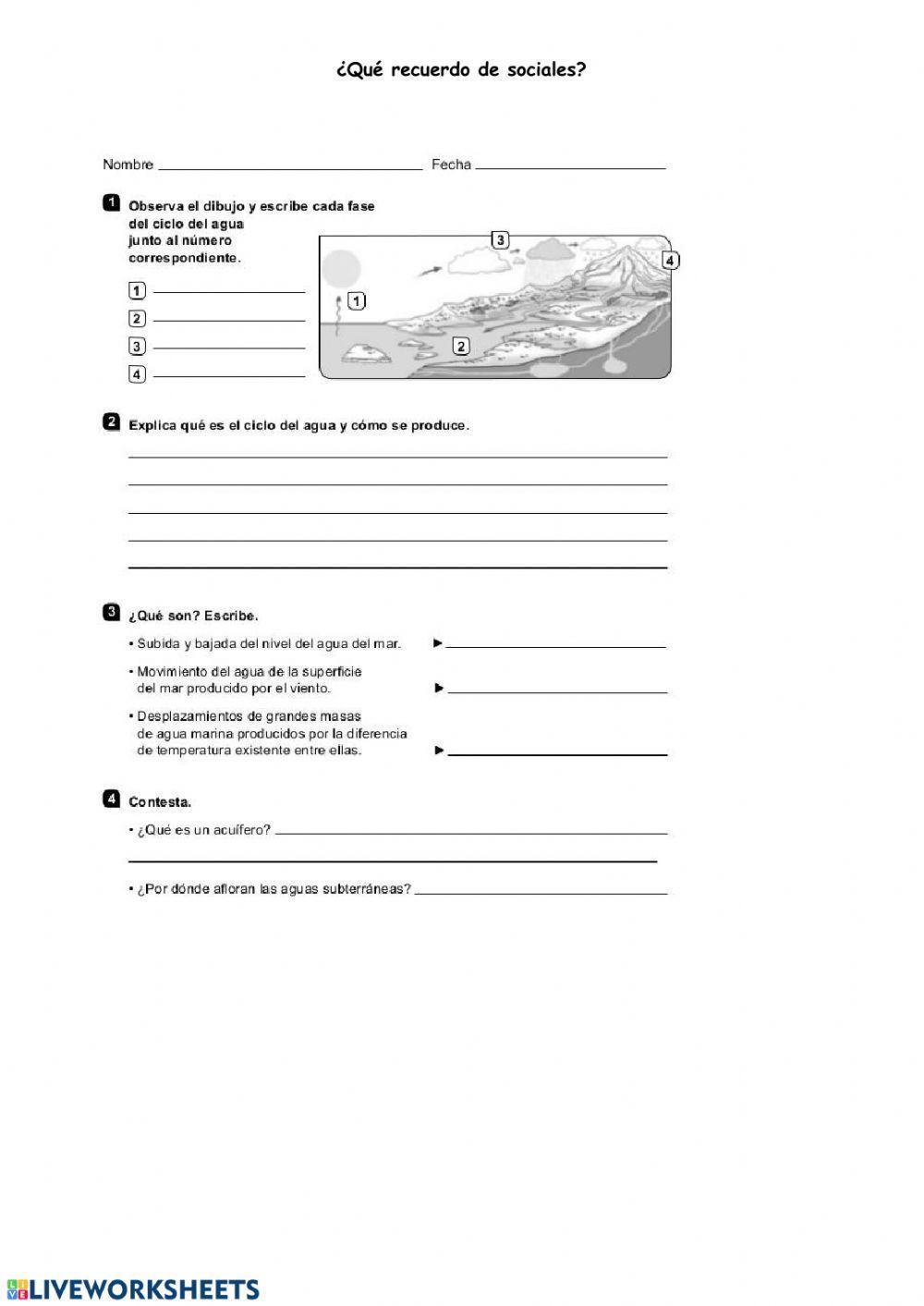 ¿Qué recuerdo de sociales?