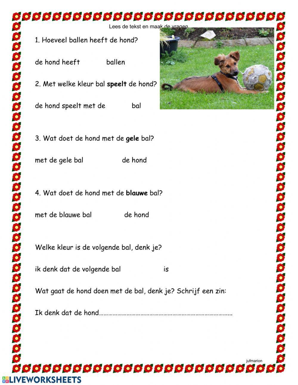 Een bal voor mijn hond