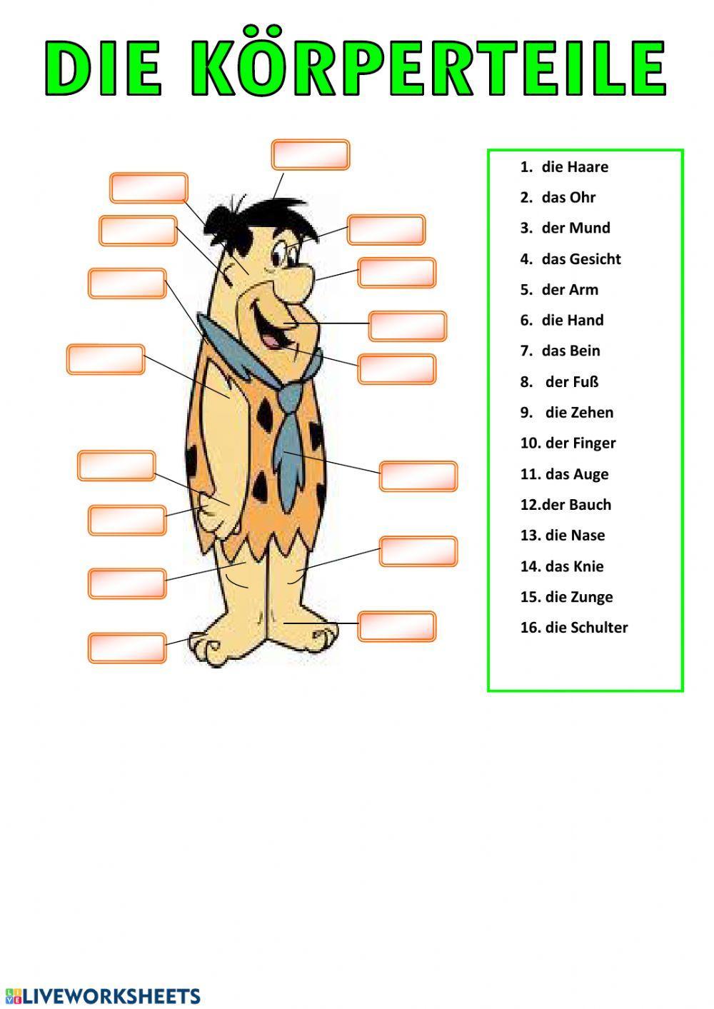 Die Körperteile