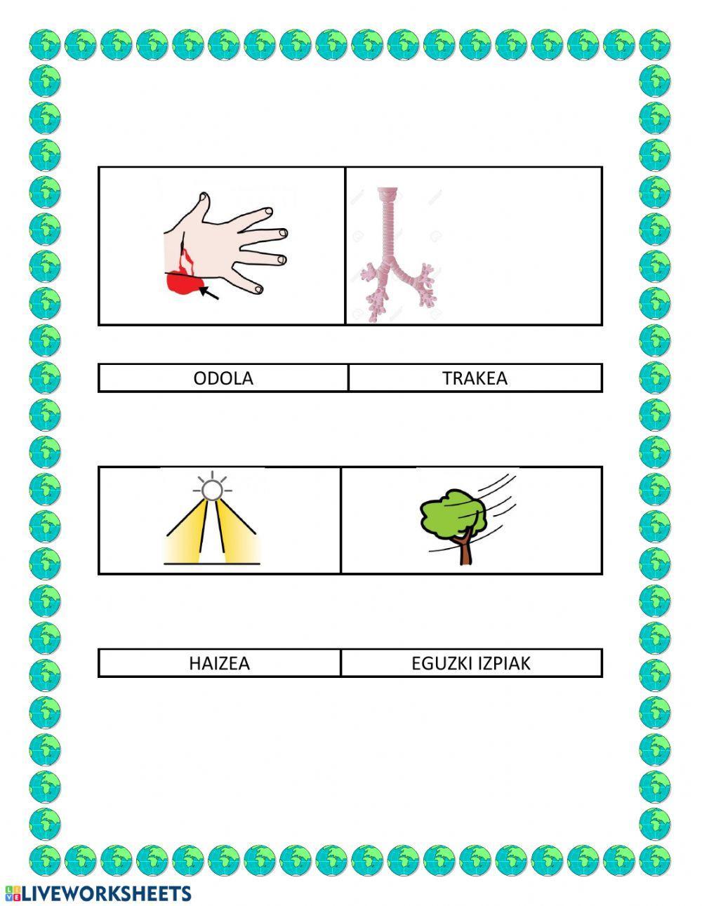 Firin-faran:oinarrizko hiztegia