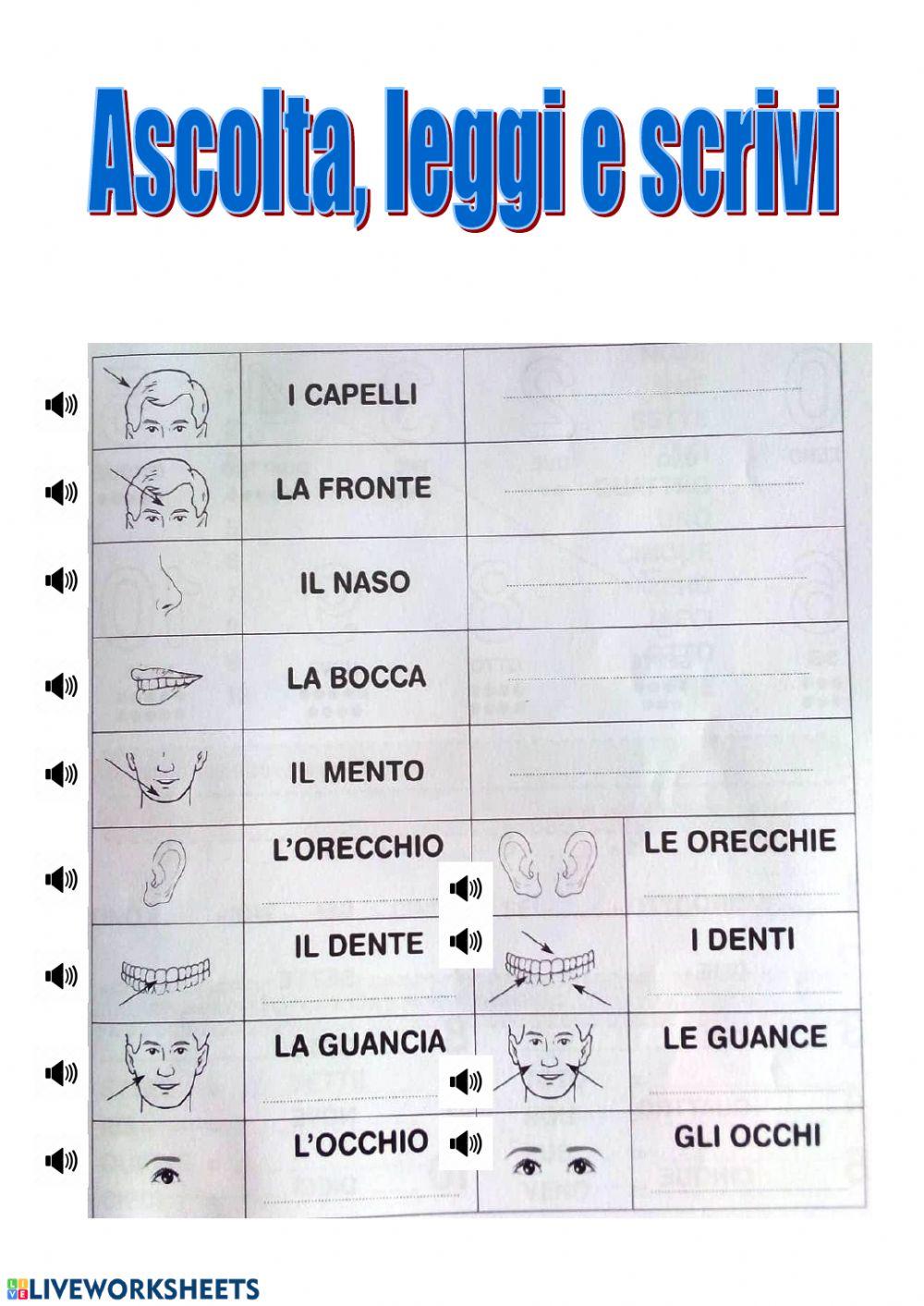 Italiano per stranieri worksheet