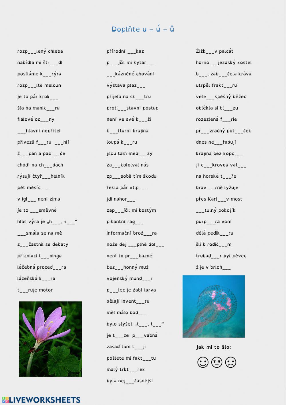 Doplňování U - Ú - Ů