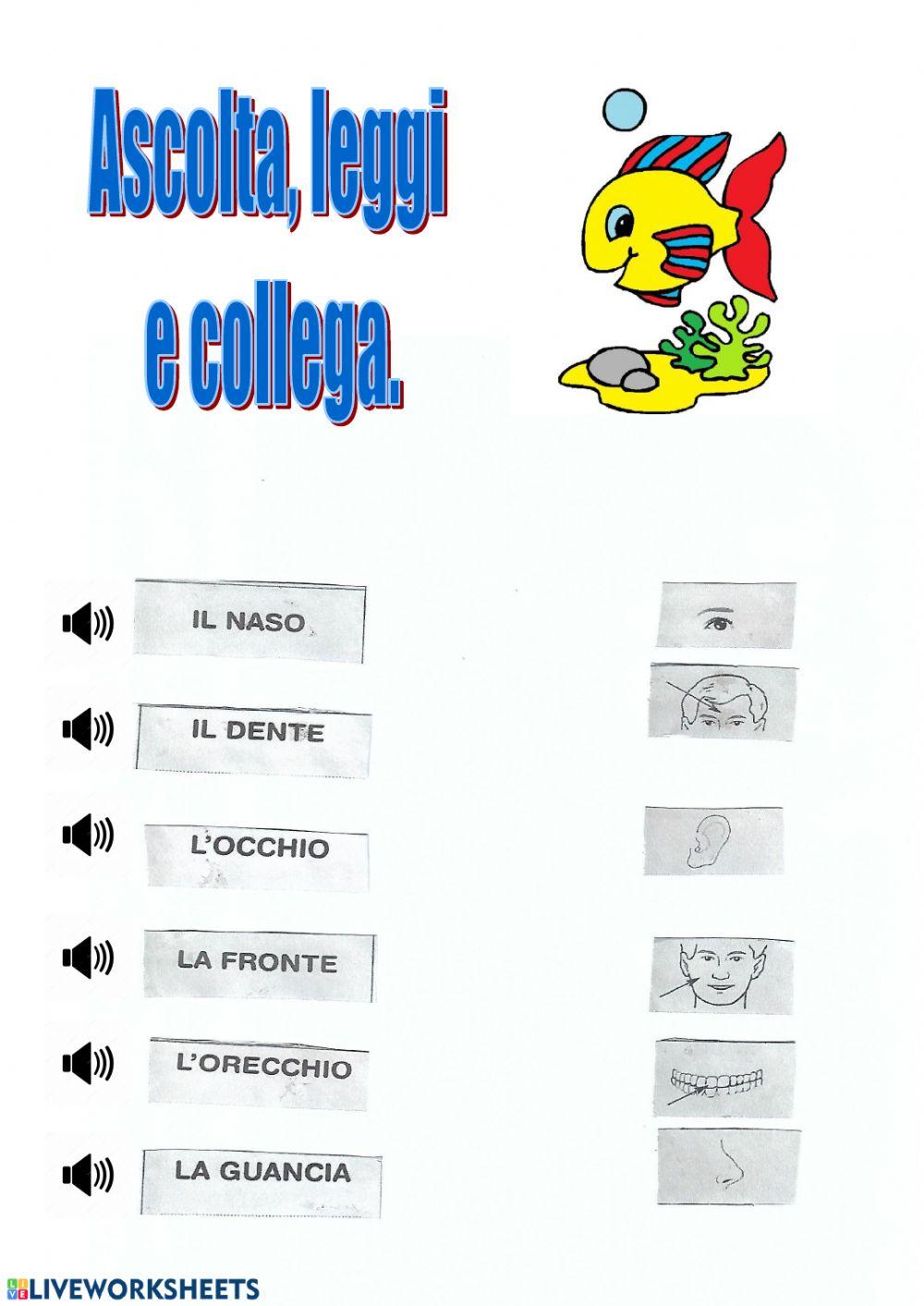 Italiano per stranieri