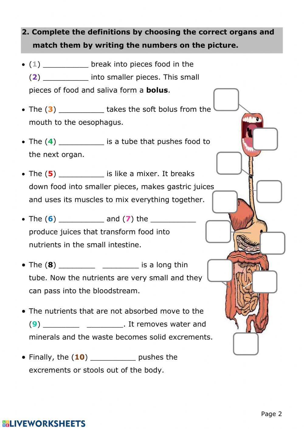 Nutrition test01