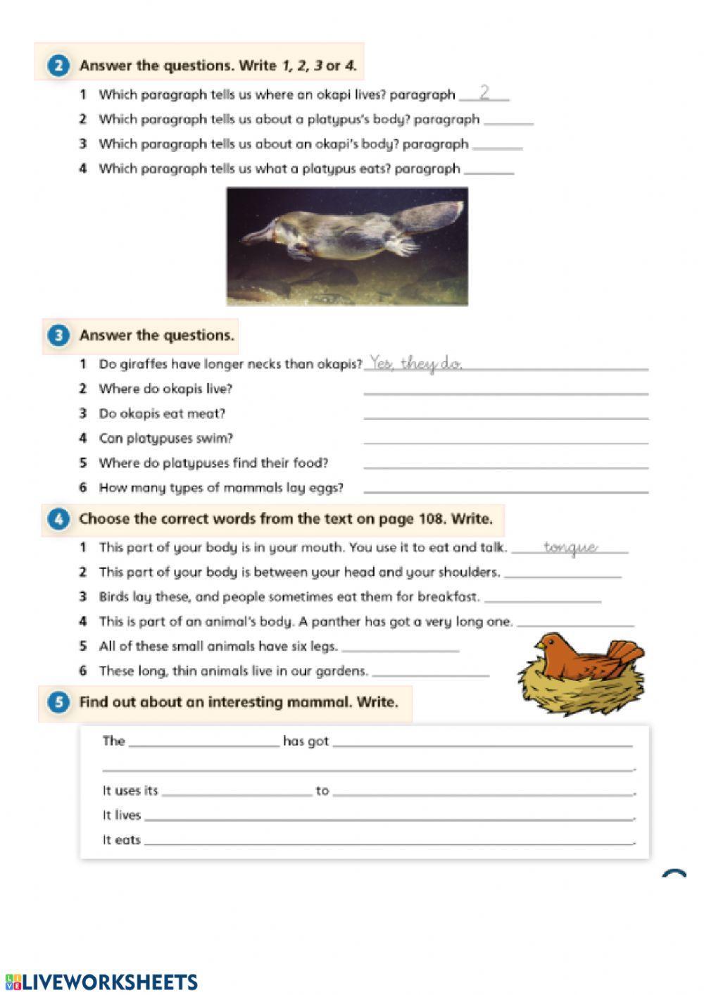 Two fascinating mammals