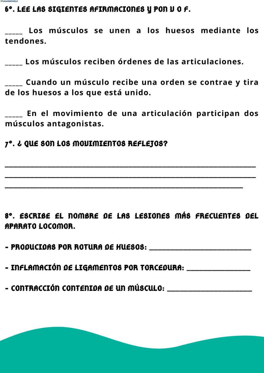 El aparato locomotor