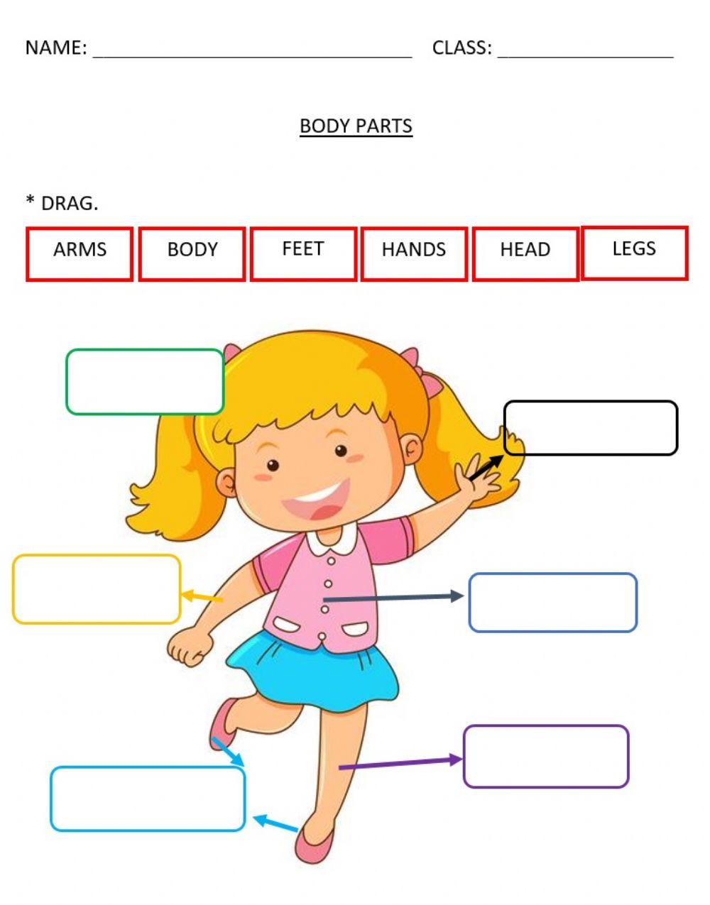 Label Parts Of Body Worksheet Live Worksheets, 42 OFF