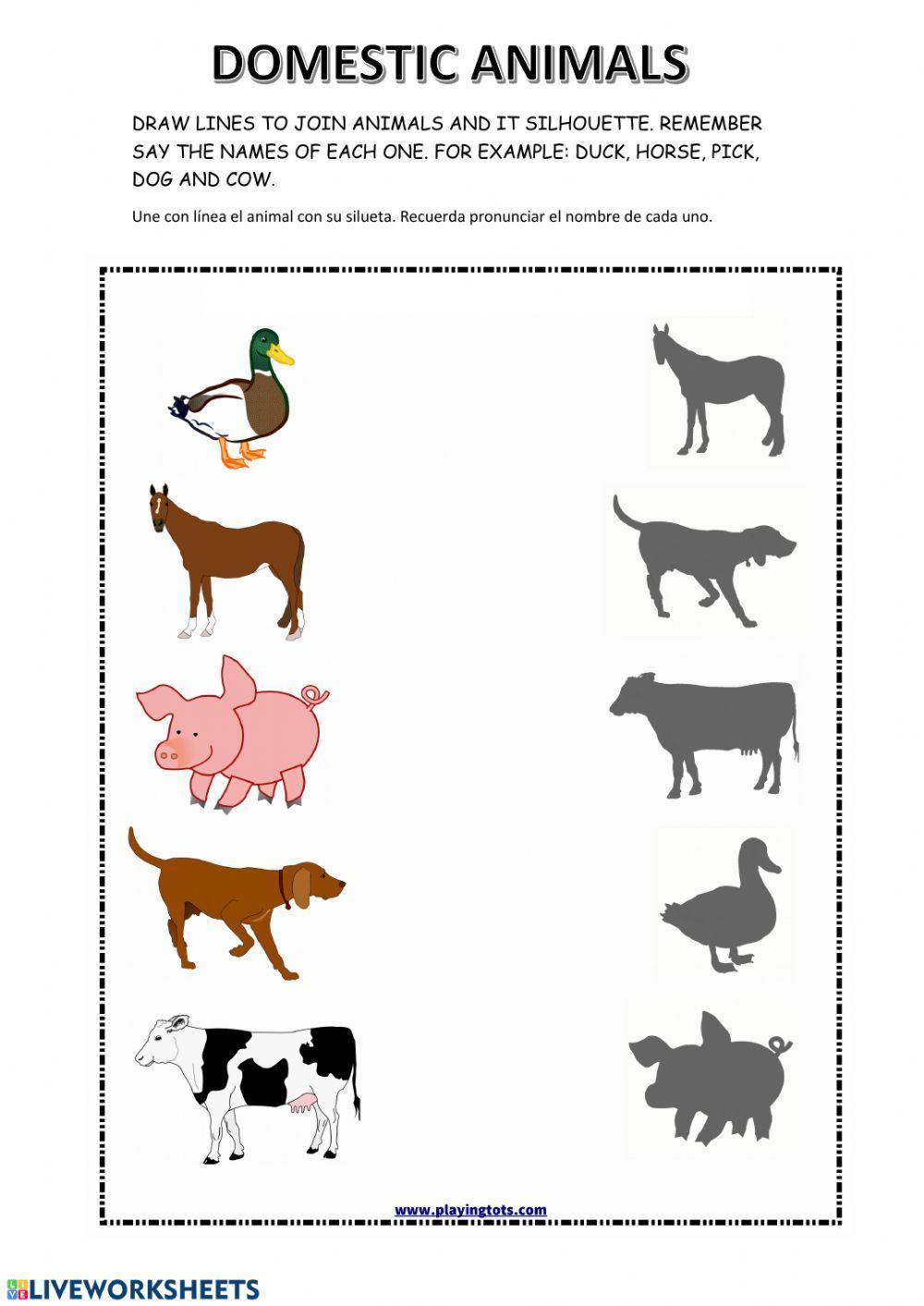 Farm Animals Farm Animals