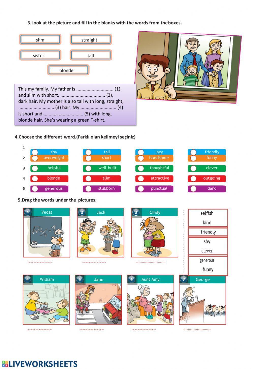 Appearence and Personality Worksheet