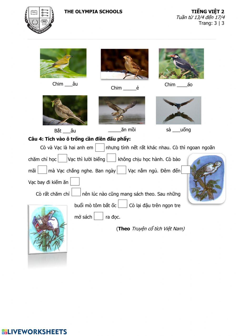 Phiếu số 2-Tuần 11