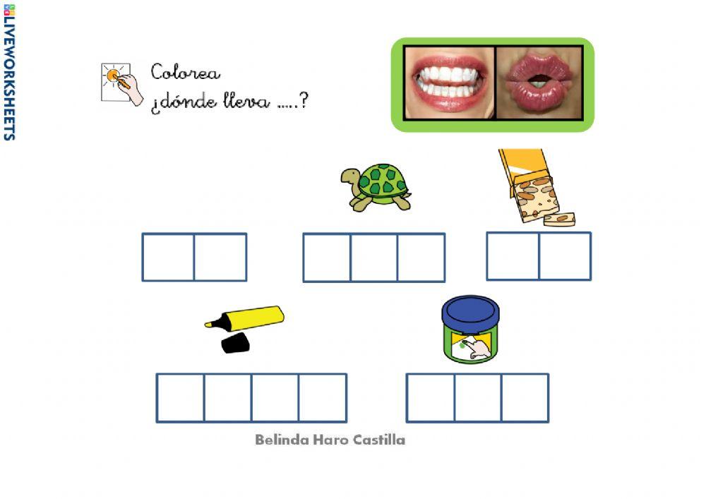 HABILIDADES METALINGÜÍSTICAS