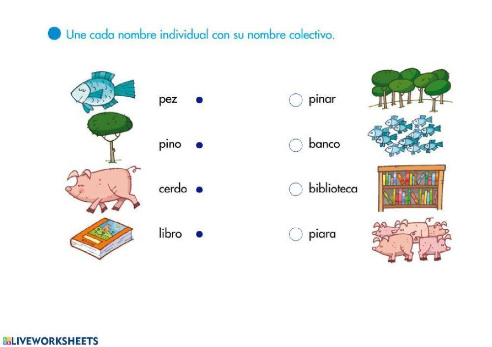 INDIVIDUALES Y COLECTIVOS