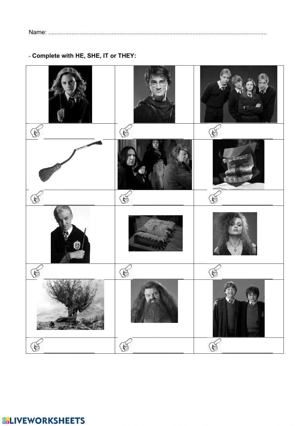 Subject pronouns  HE SHE IT THEY