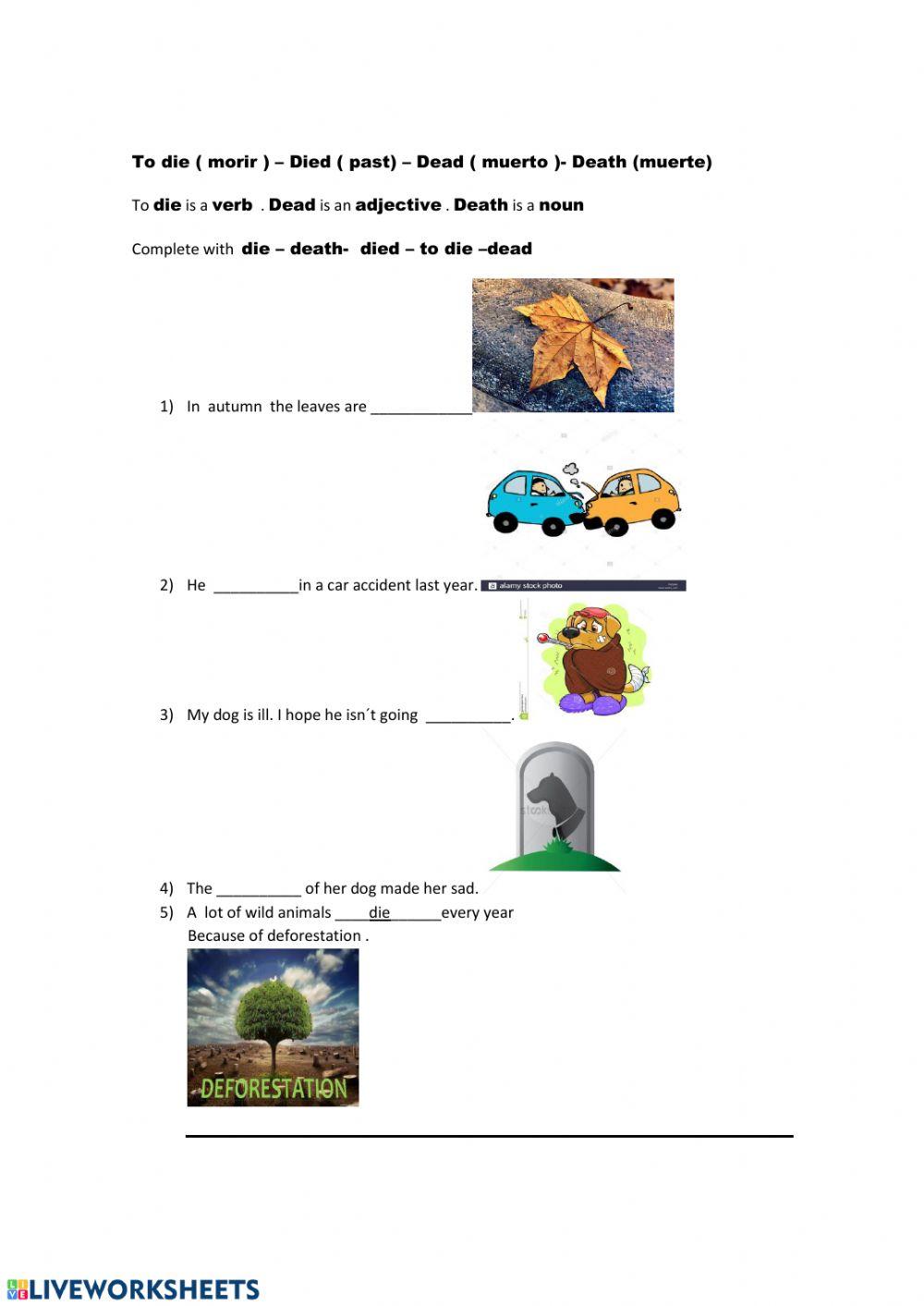 Action verbs with images
