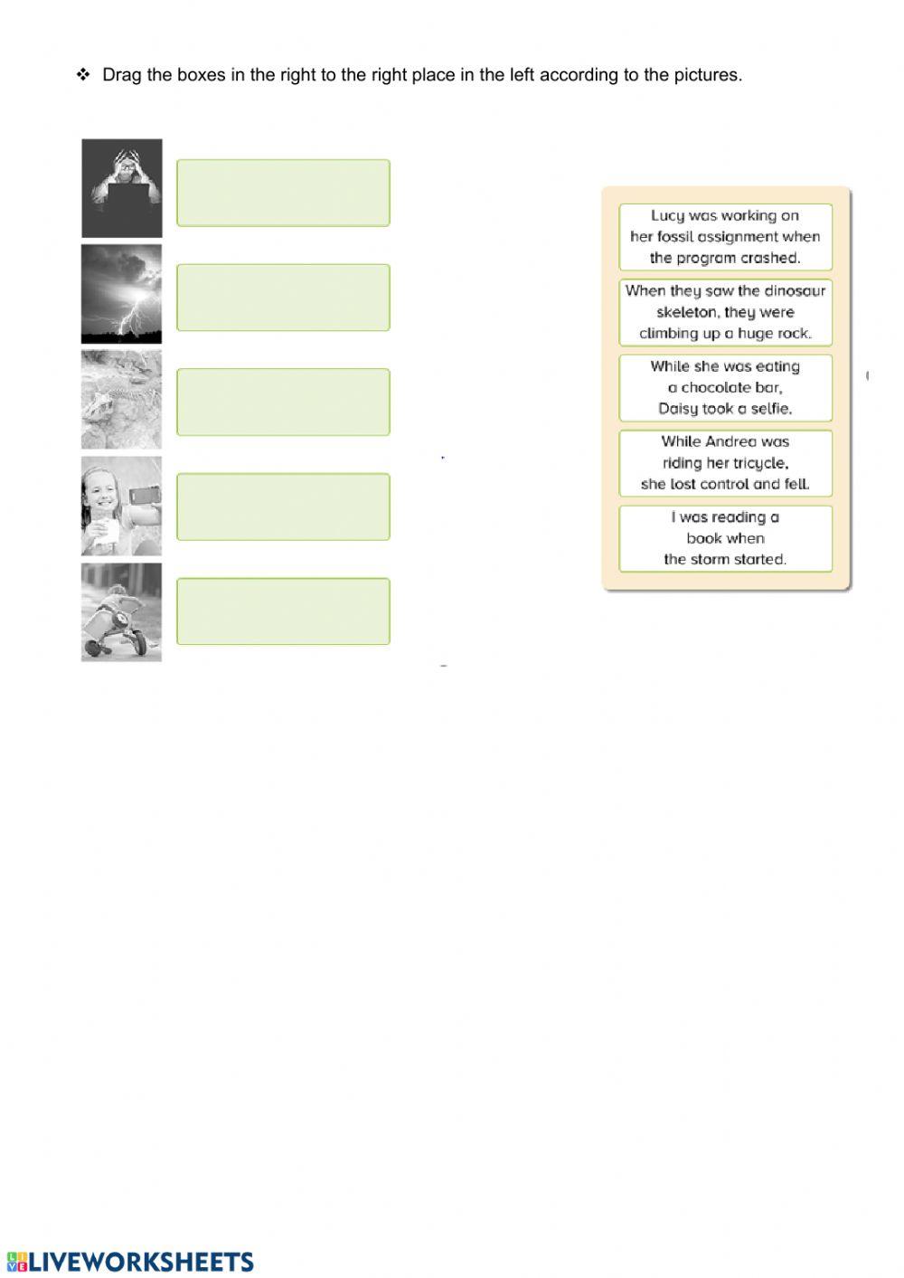 Vocabulary and Past Continuous