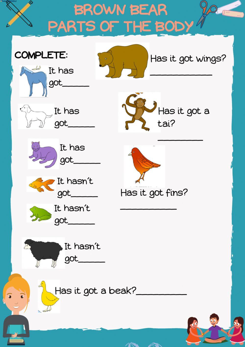 Brown bear parts of the body