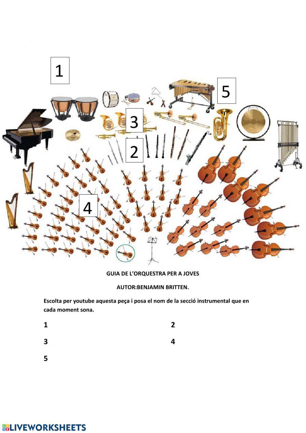 CINQUÈ:Guia d'orquestra per a joves de Britten