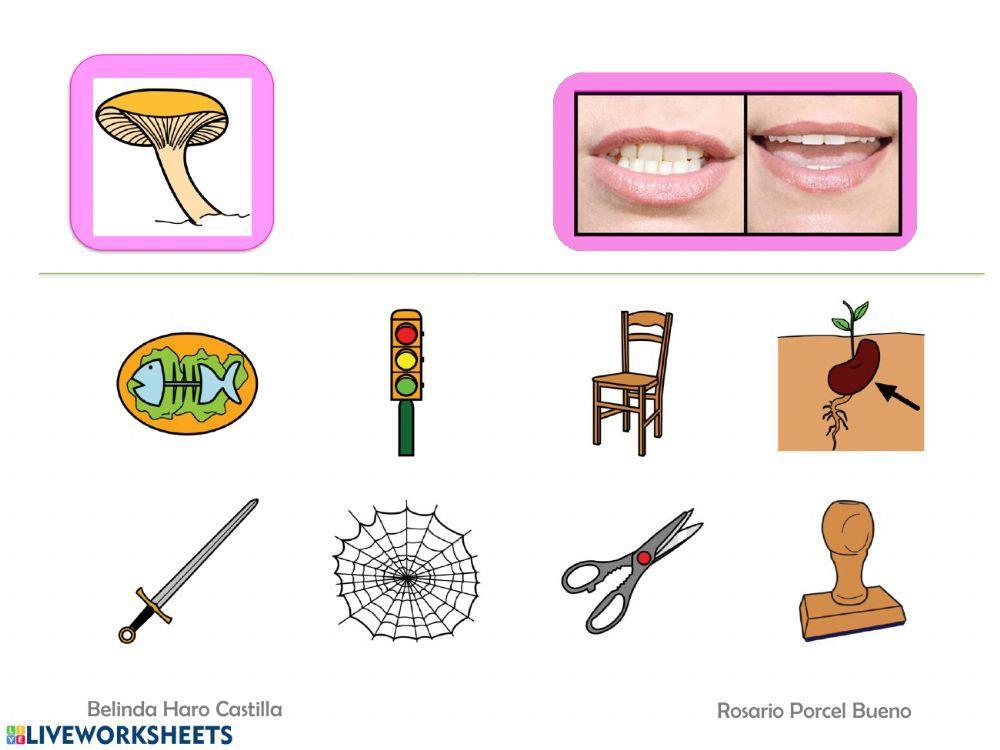 Empieza por sílabas con s