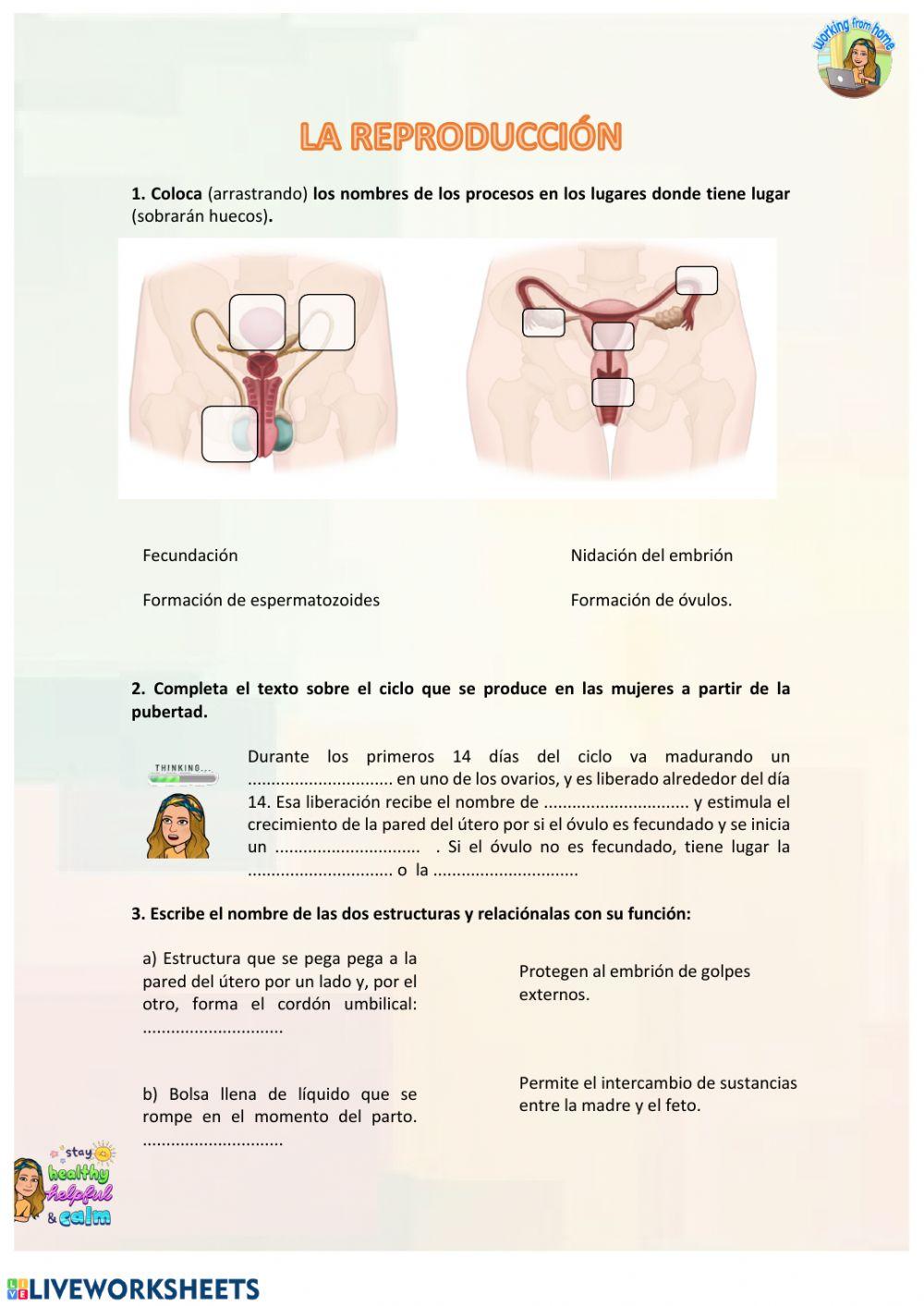 Naturales - La reproducción 1