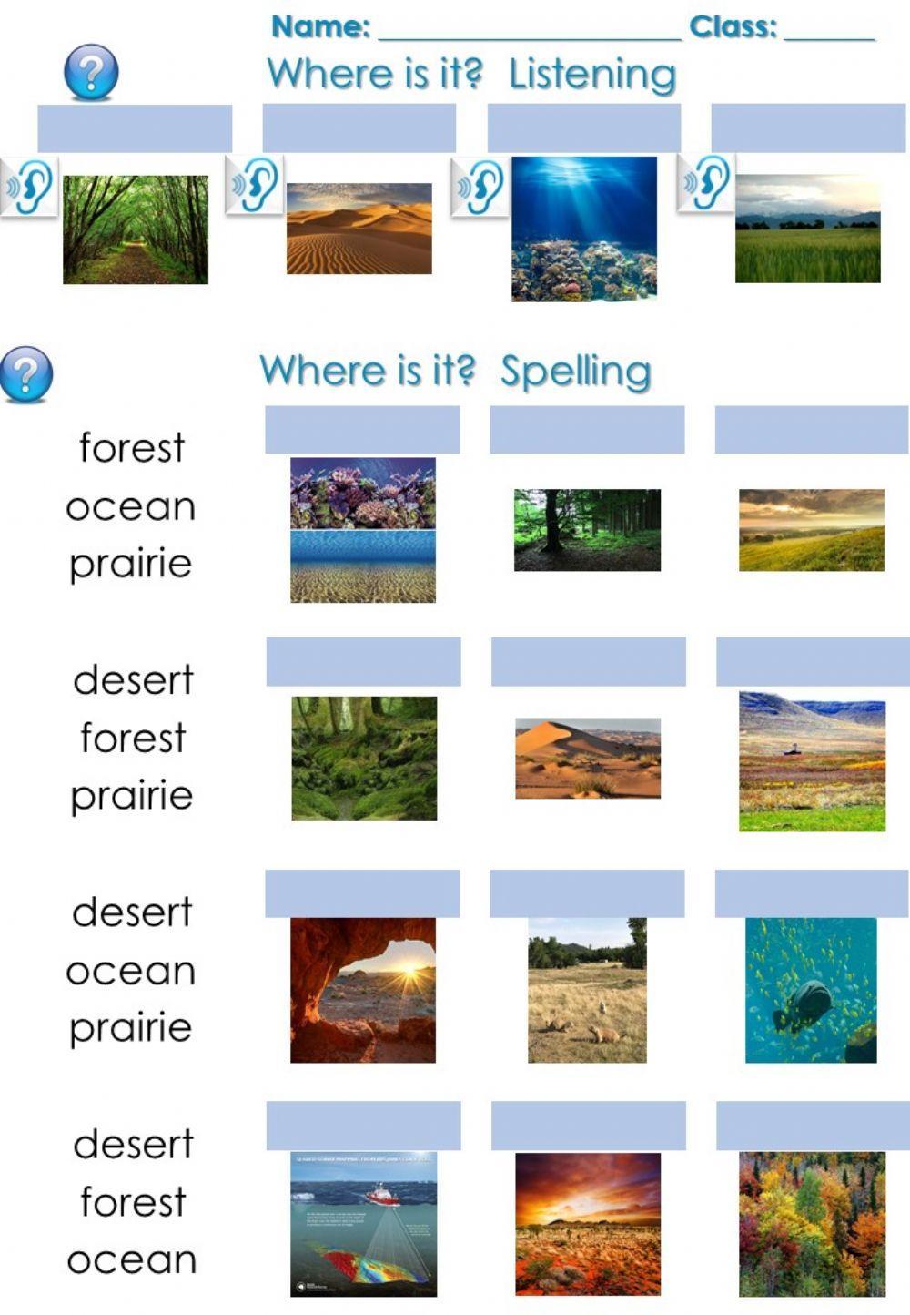 Forest, desert, ocean, prairie spelling