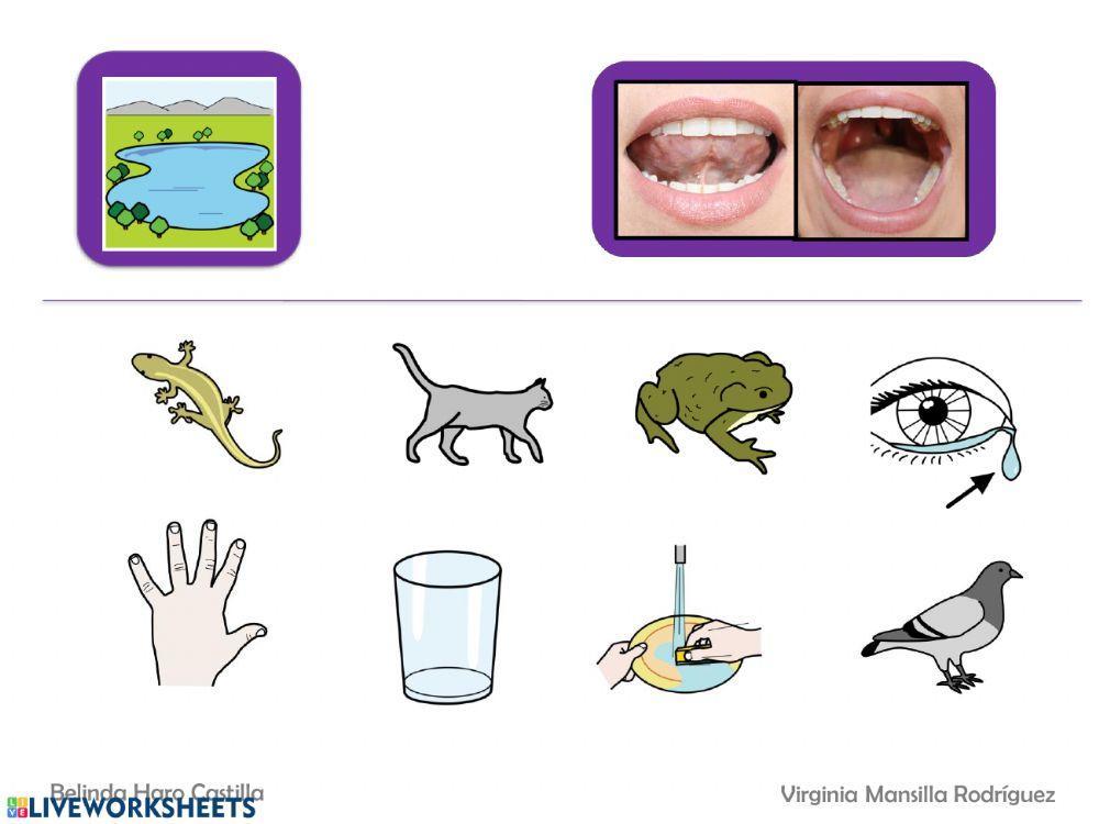 Empieza por sílabas con l