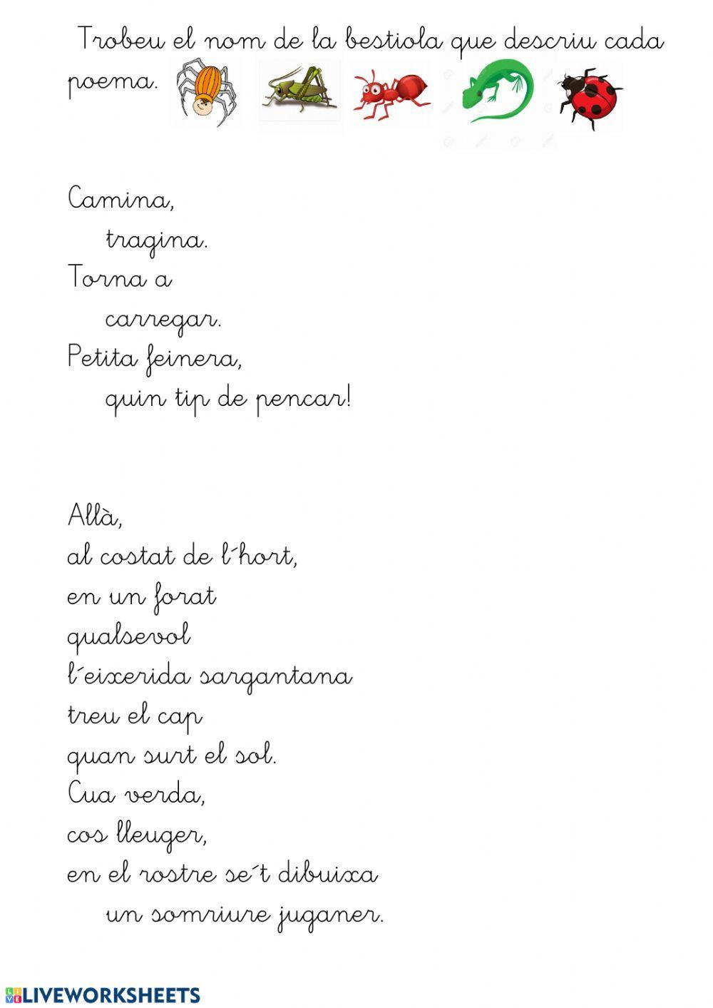 Lola Casas.Poemes de bestioles del pati.
