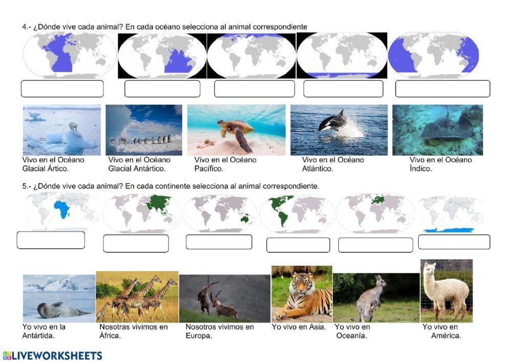 Océanos y Continentes