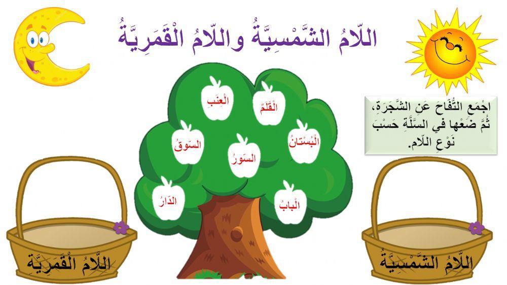 اللغه العربية