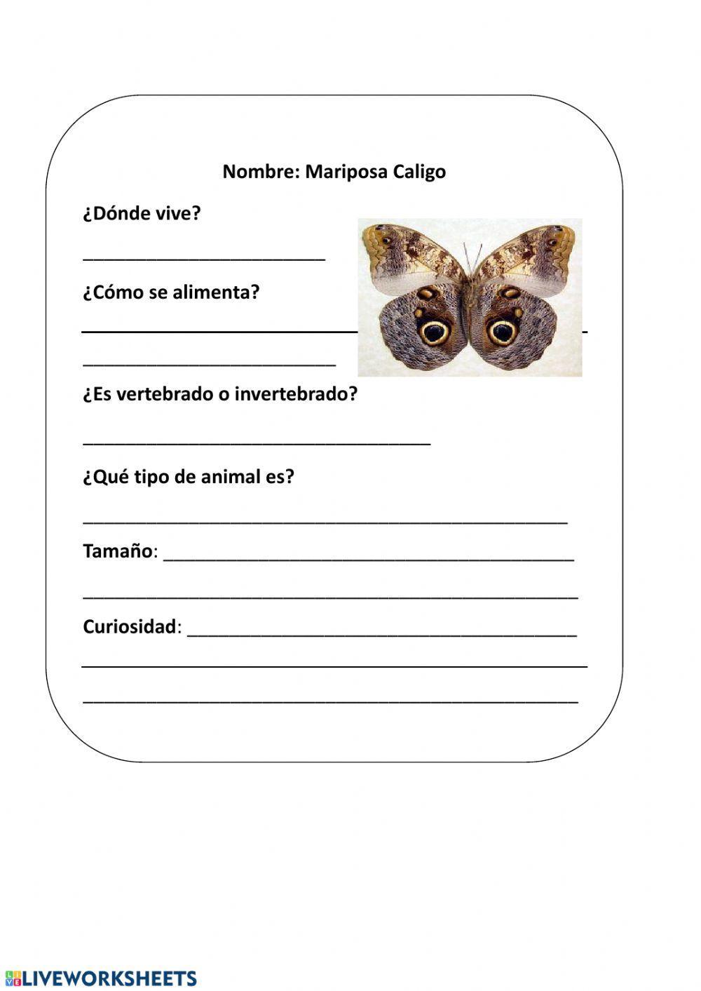 Investigación invertebrados