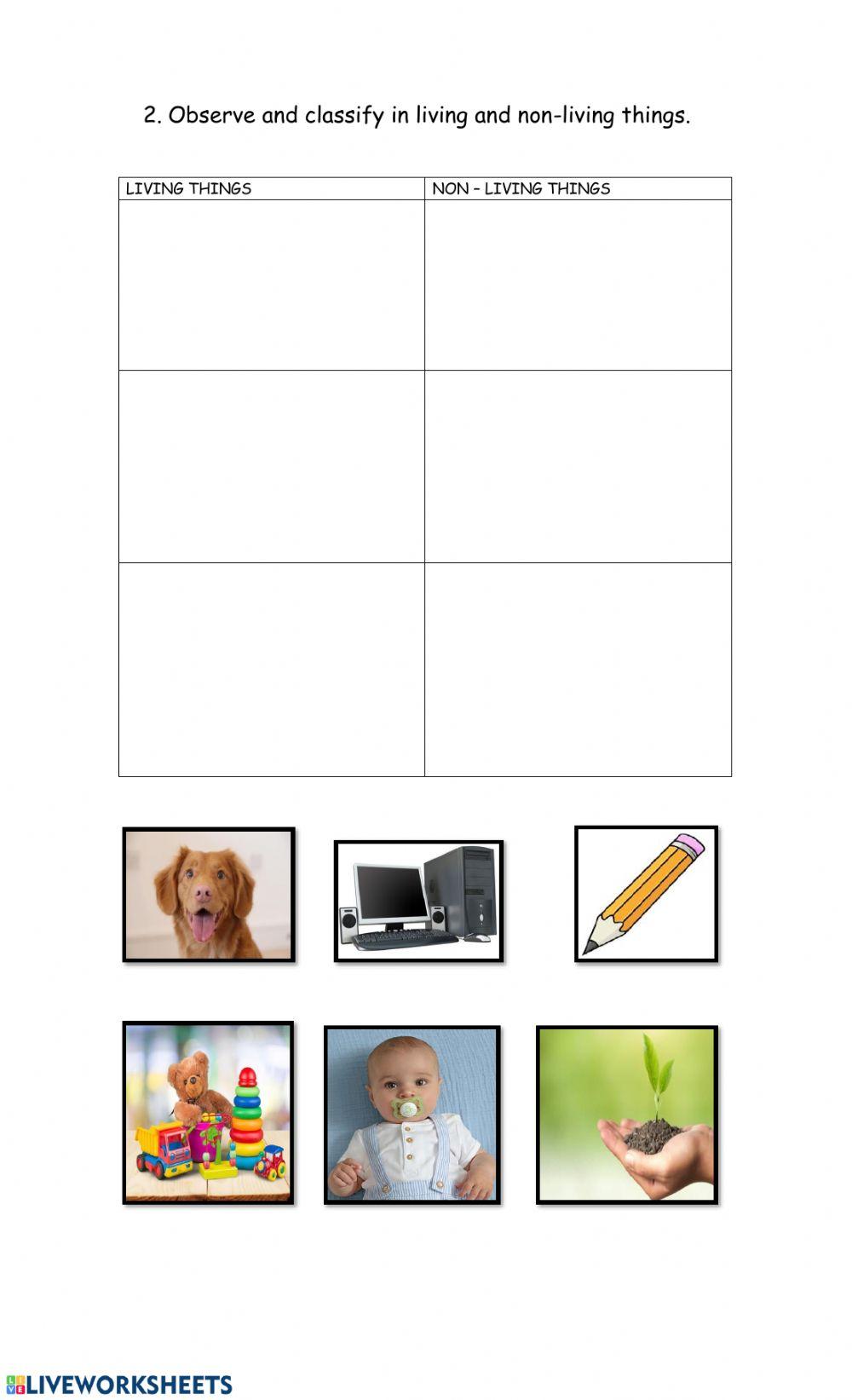 Let's practice - Living and non living things