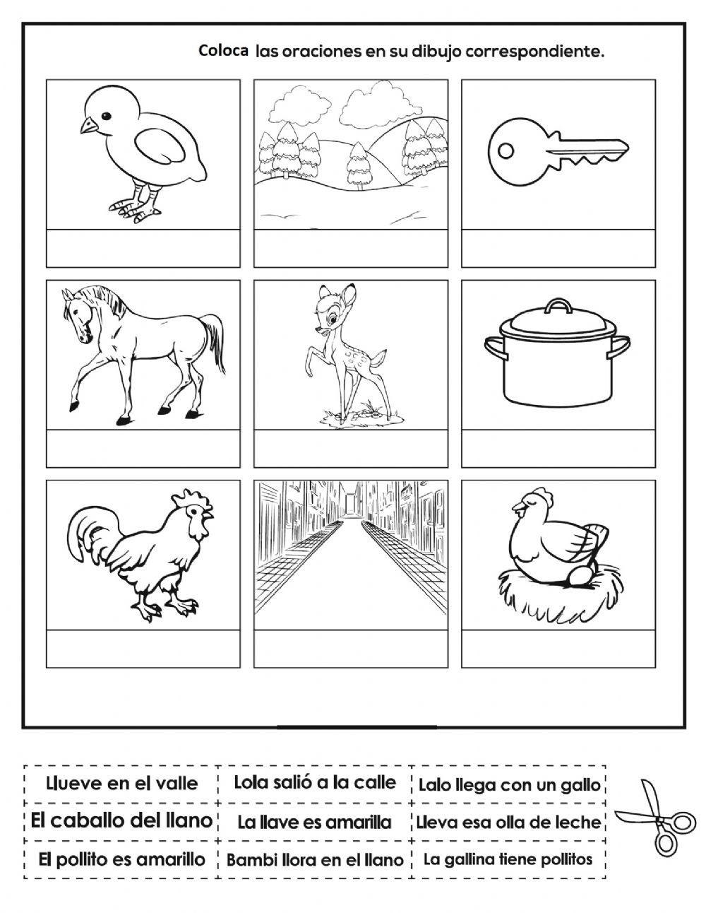 Coloca la frase con el dibujo