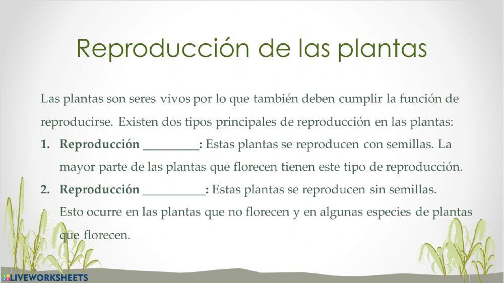 Reproducción de las plantas
