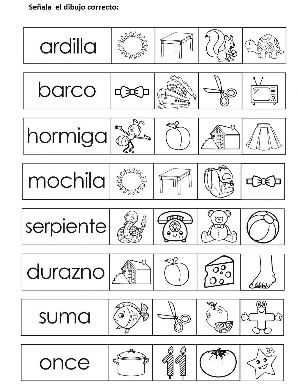 Selecciona el dibujo correcto