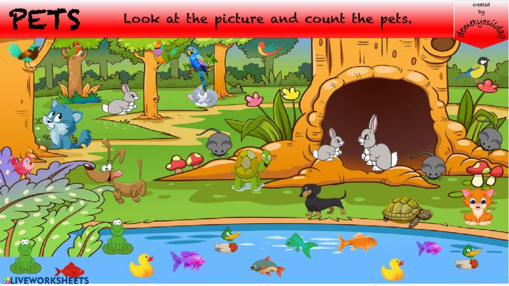 PETS( Count and Write)