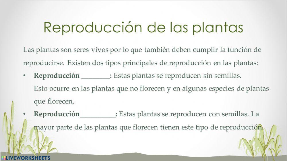 Reproducción de las plantas