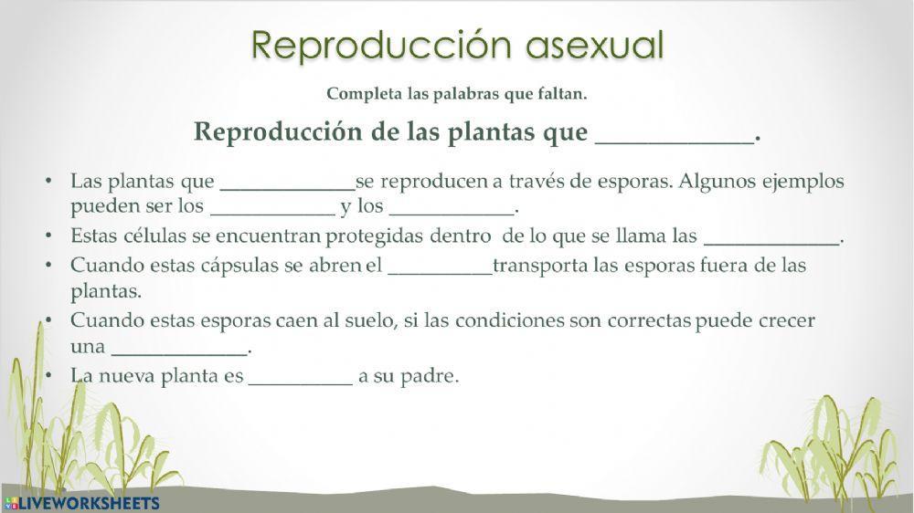 Reproducción de las plantas