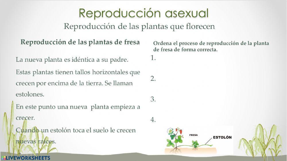 Reproducción de las plantas