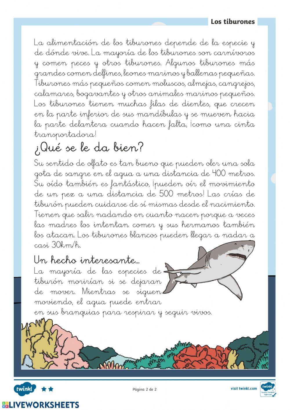 Comprensión lectora tiburones