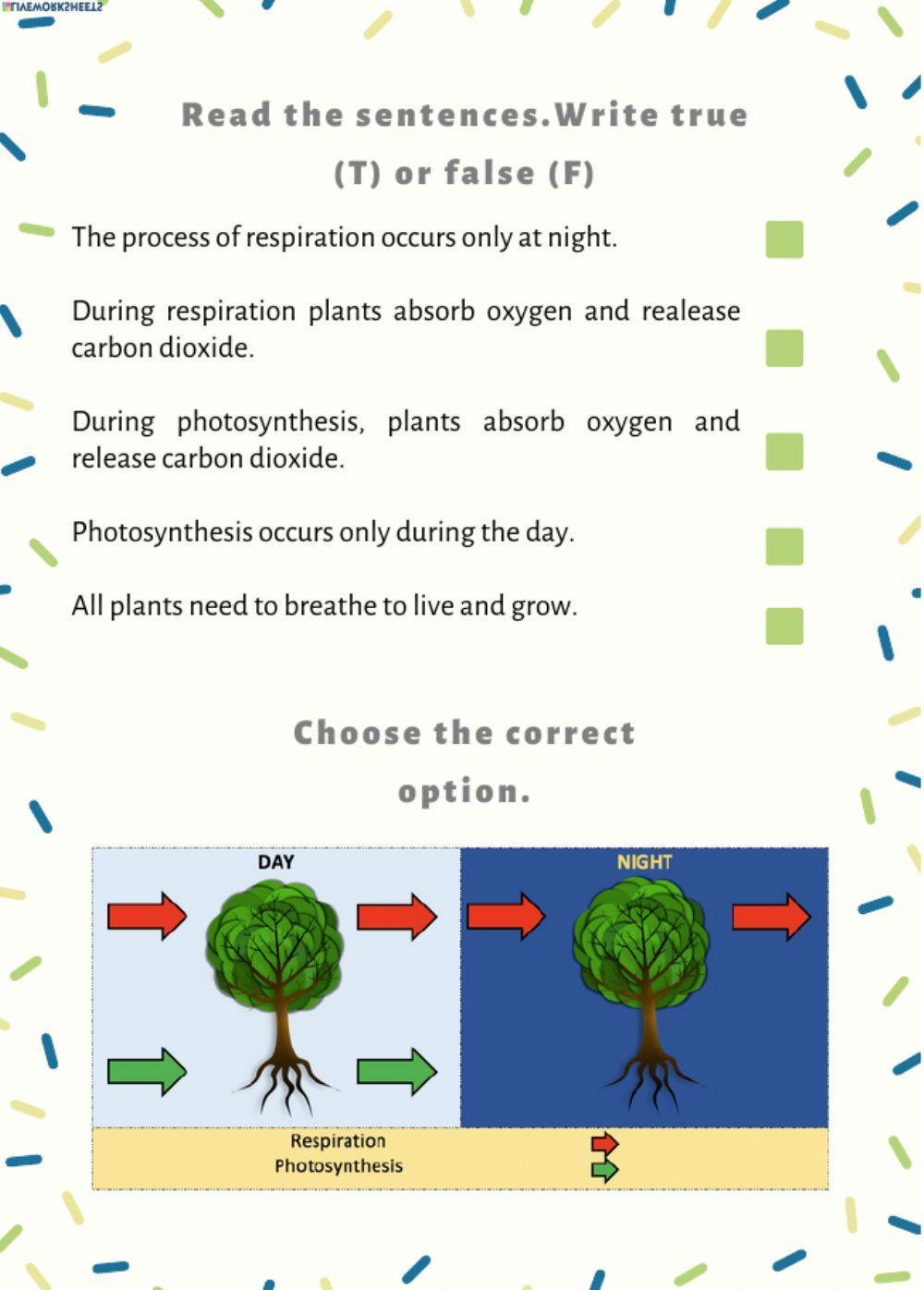Plant nutrition Plant nutrition