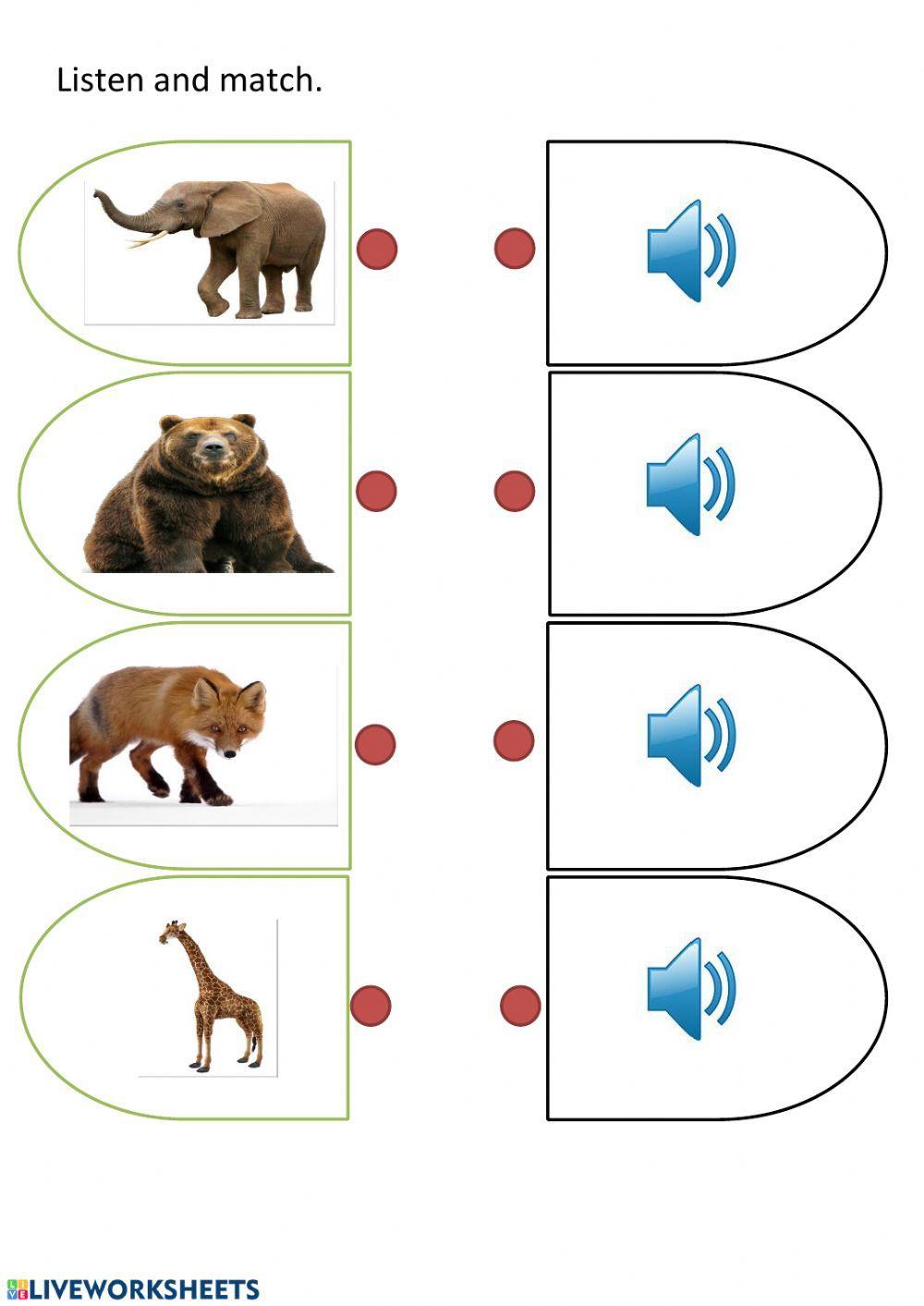 6yearsWildAnimals 6yearsWildAnimals
