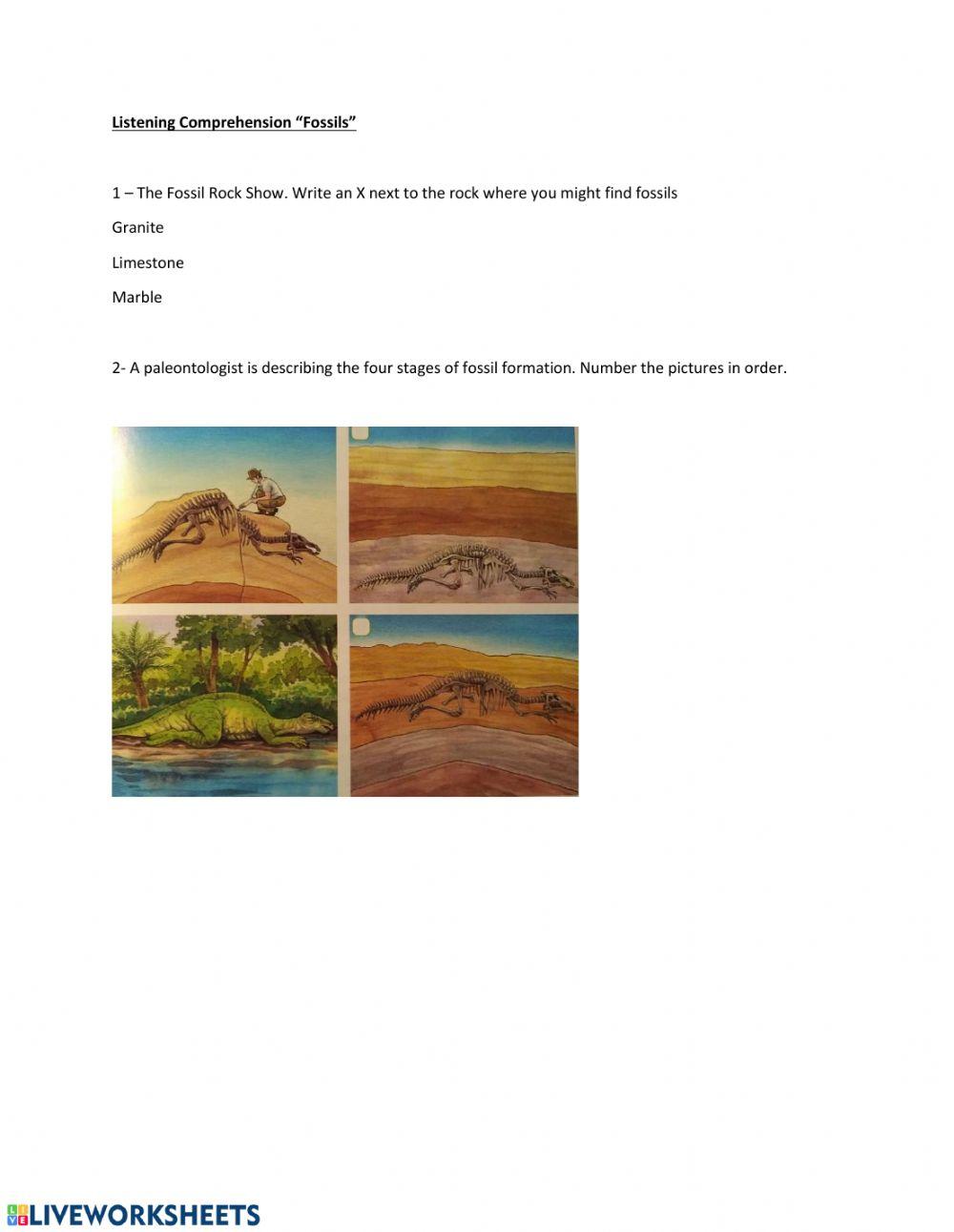 Listening Comprehension Fossils