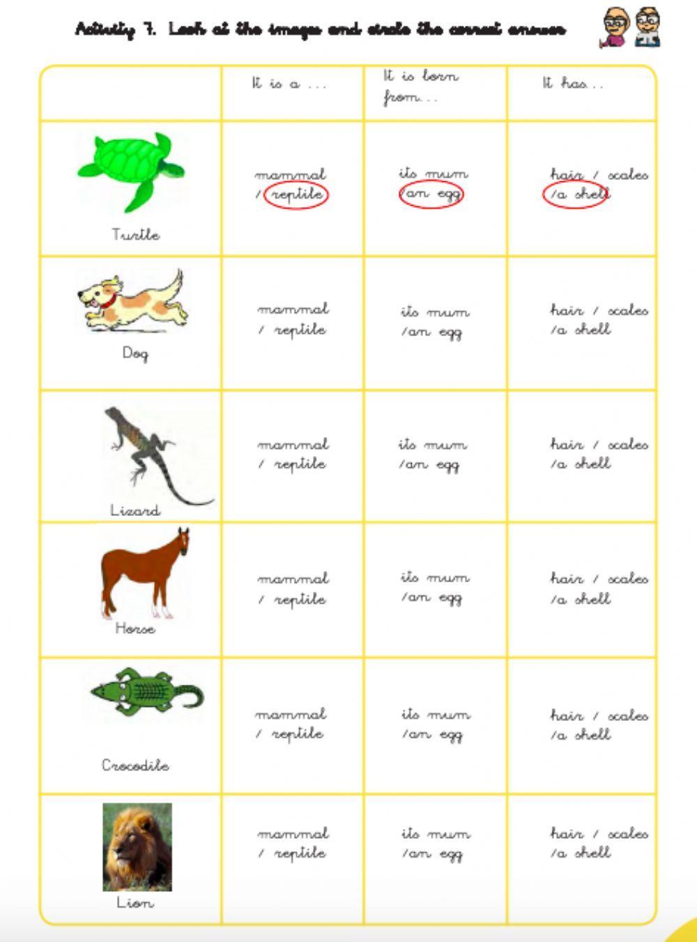 Animals classification