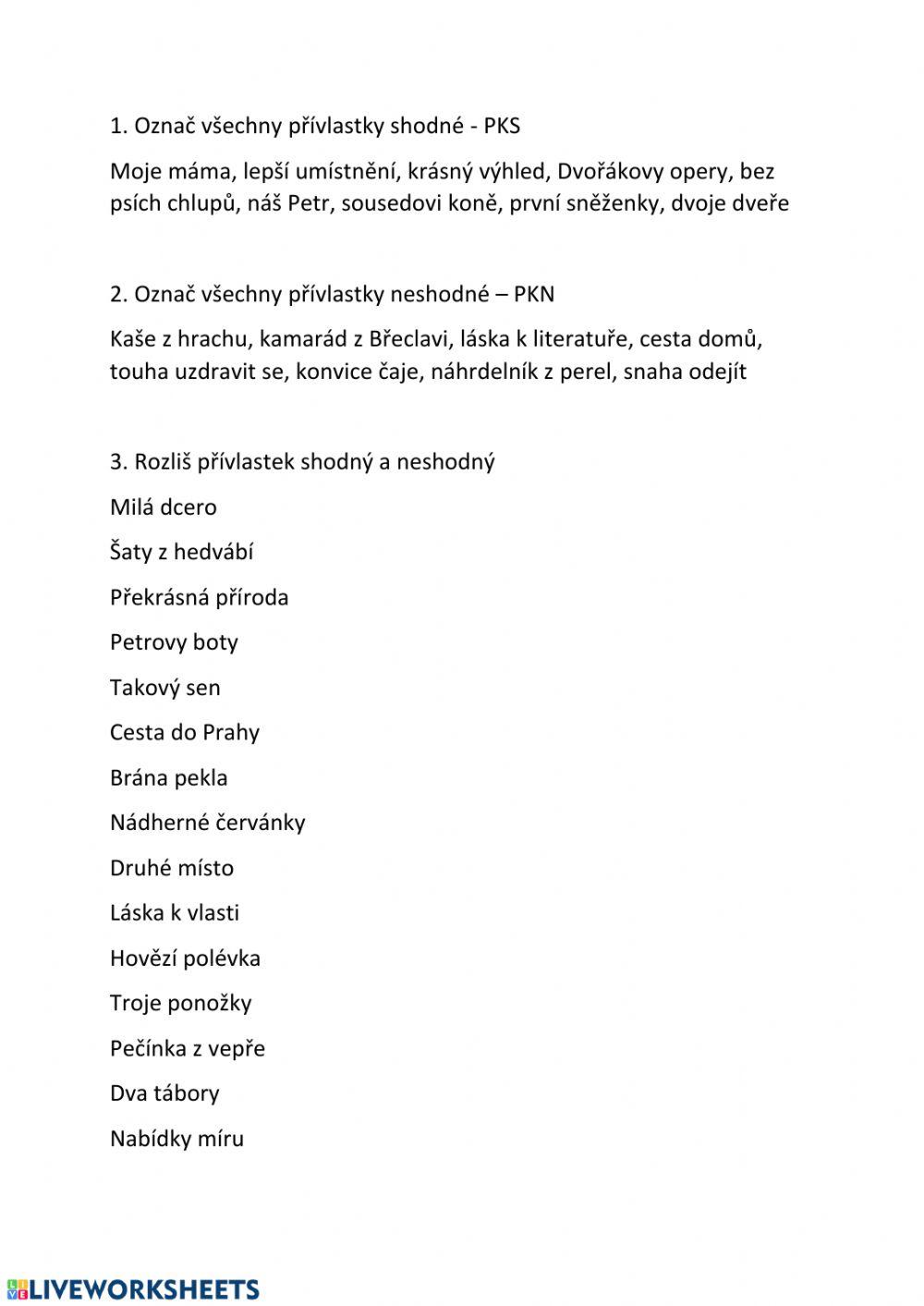 Přívlastky - shodný, neshodný 1