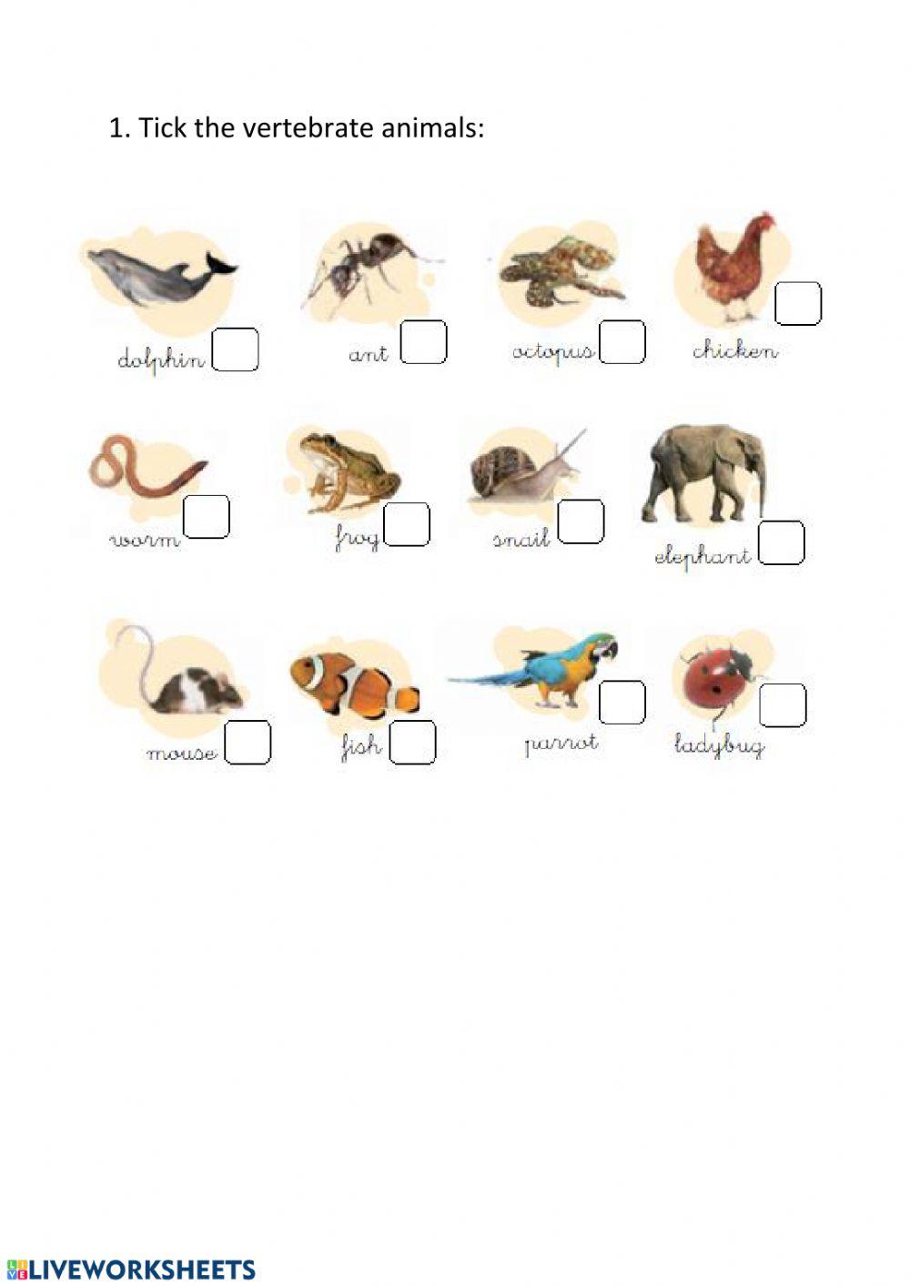 Vertebrate and invertebrate animals