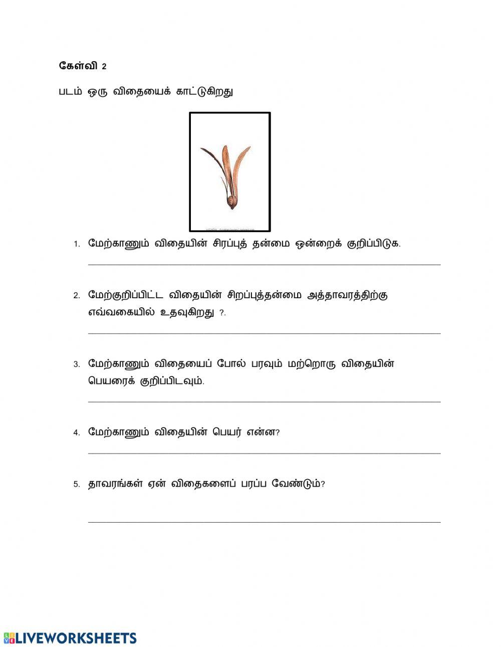 விதை பரவல்