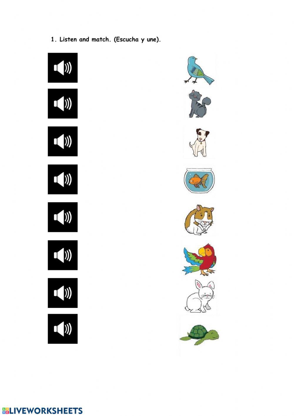 listen and match animals