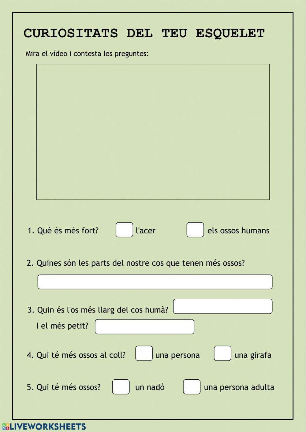 Curiositats del nostre esquelet