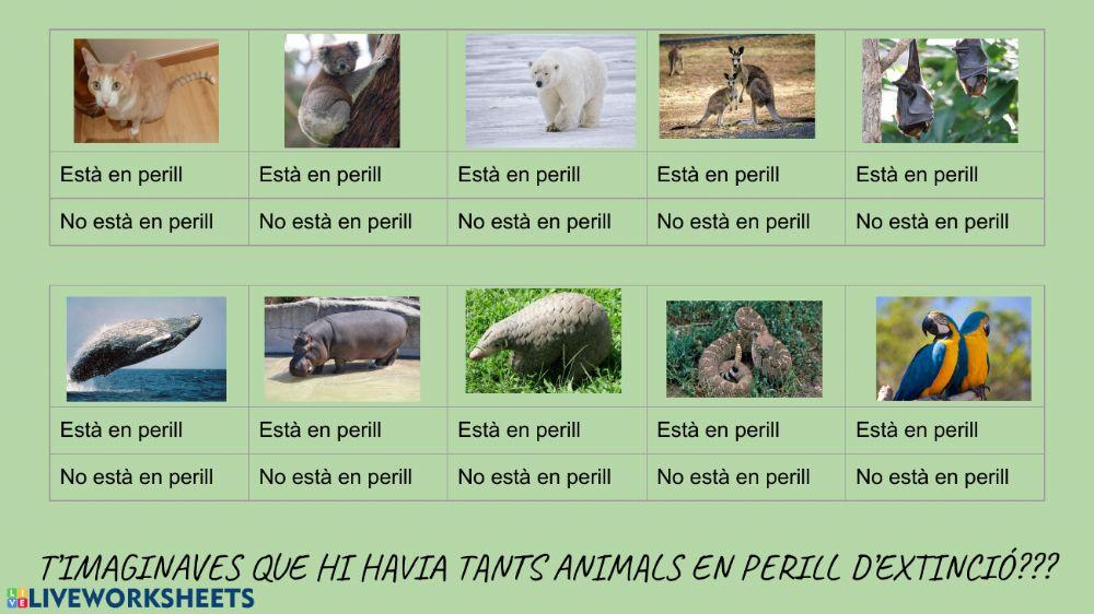 Tots els animals estan en perill d'extinció?
