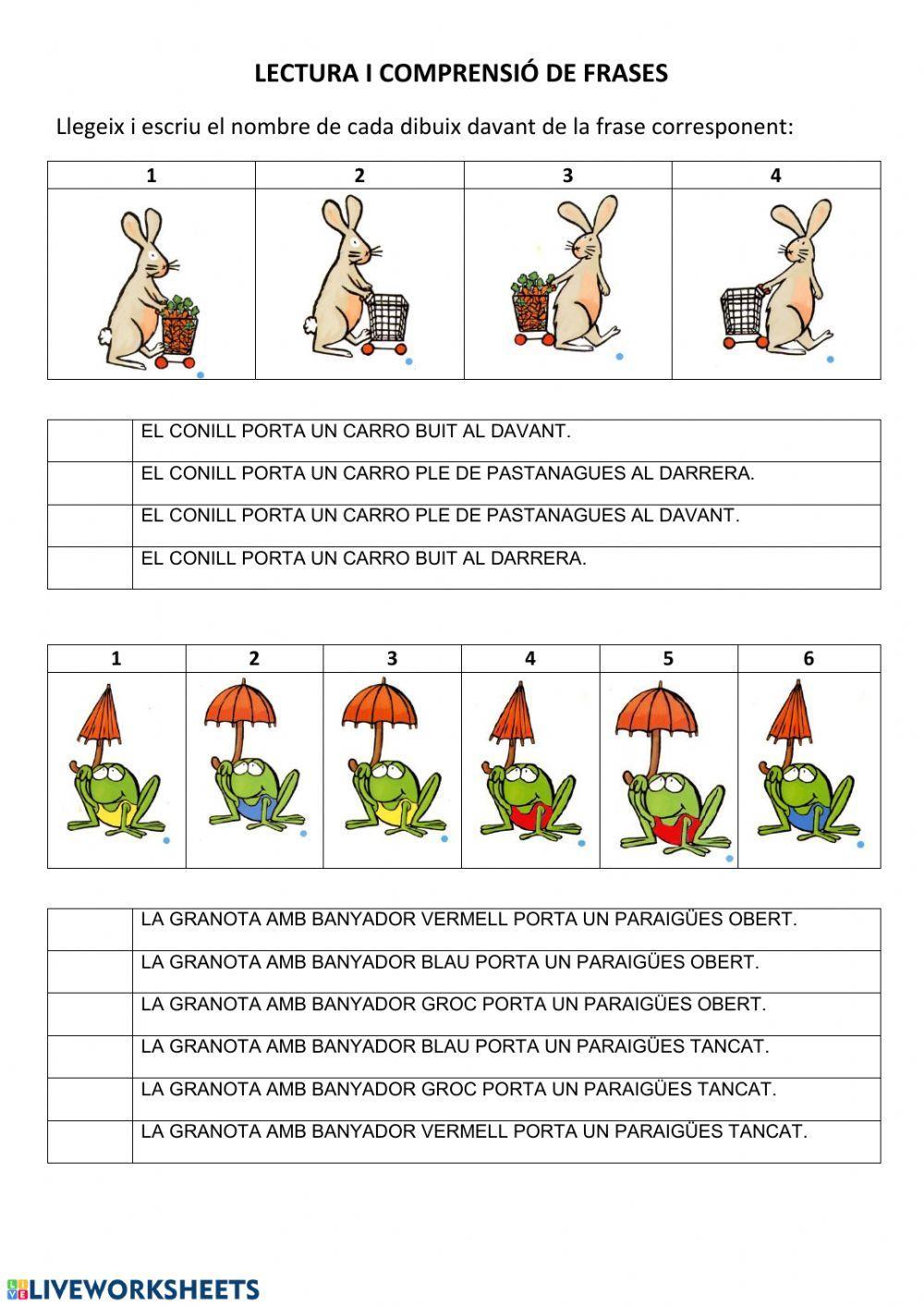 Comprensió frases sota-sobre - davant-darrera