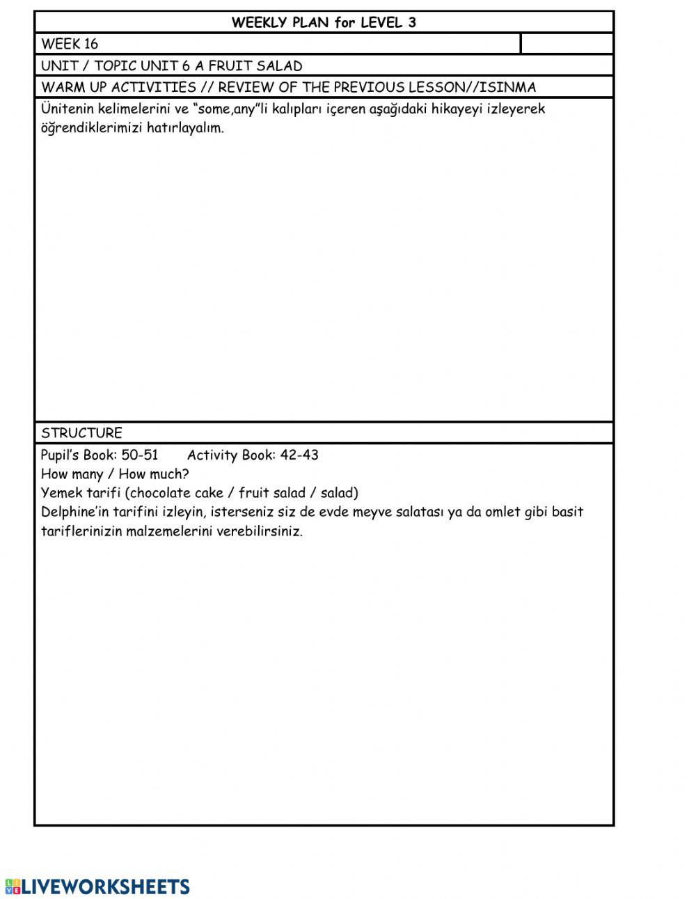 Level 3 Week 16 weekly plan